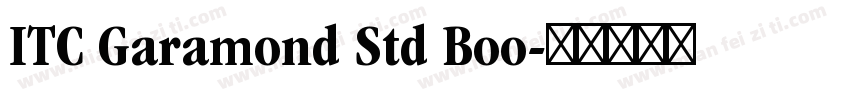ITC Garamond Std Boo字体转换